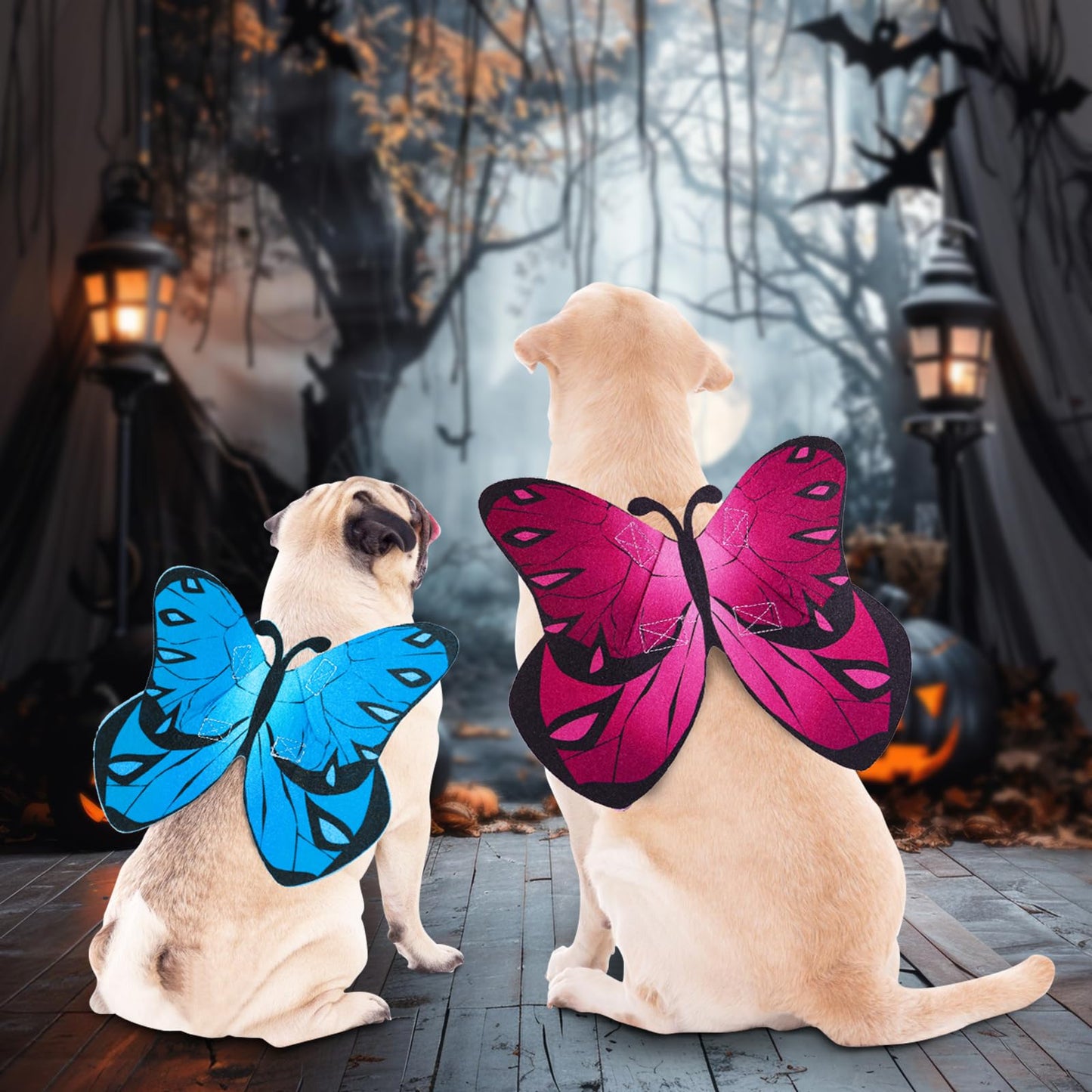 Coppthinktu Butterfly Wings Dog Cat Costume Blue Felt with 3 Flowers Size L
