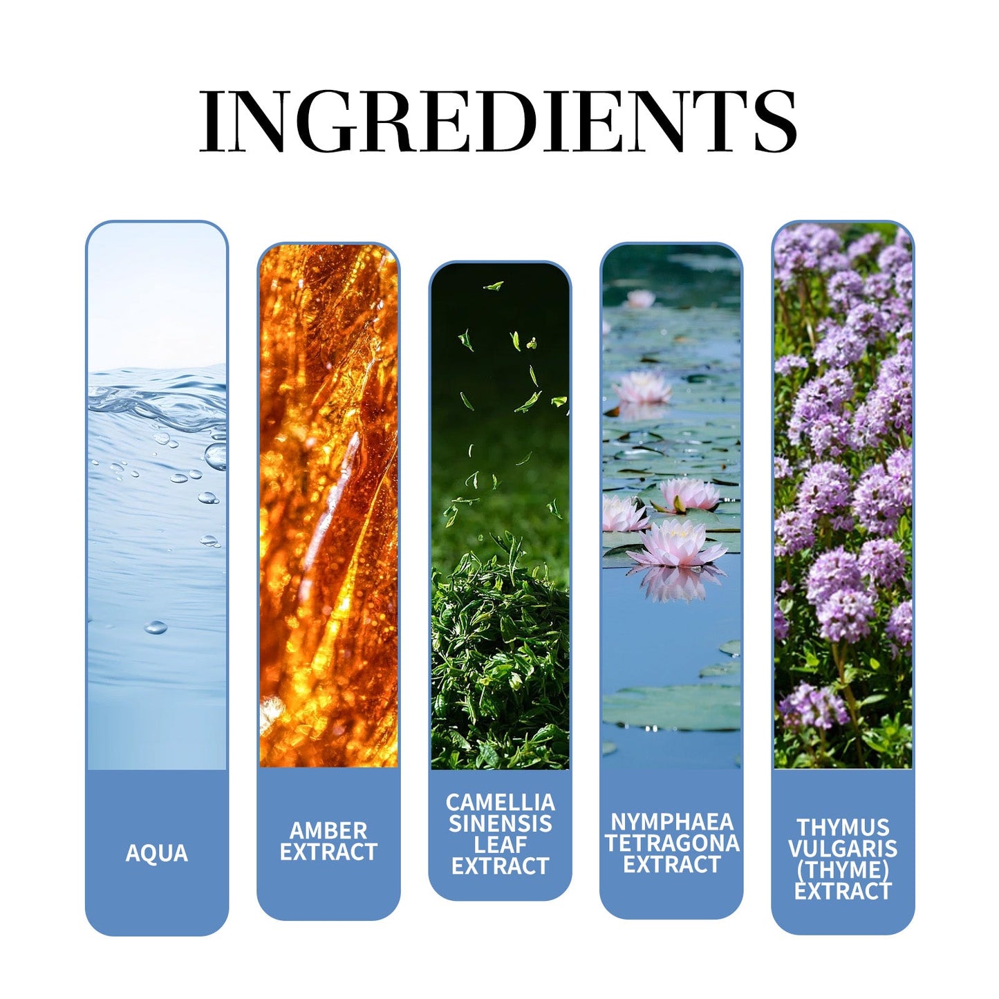 Magnet Charming Men Perfume, Tea Fragrance Natural Fresh Fragrance Release Charm Couple Dating Men Atmosphere Niche Perfume