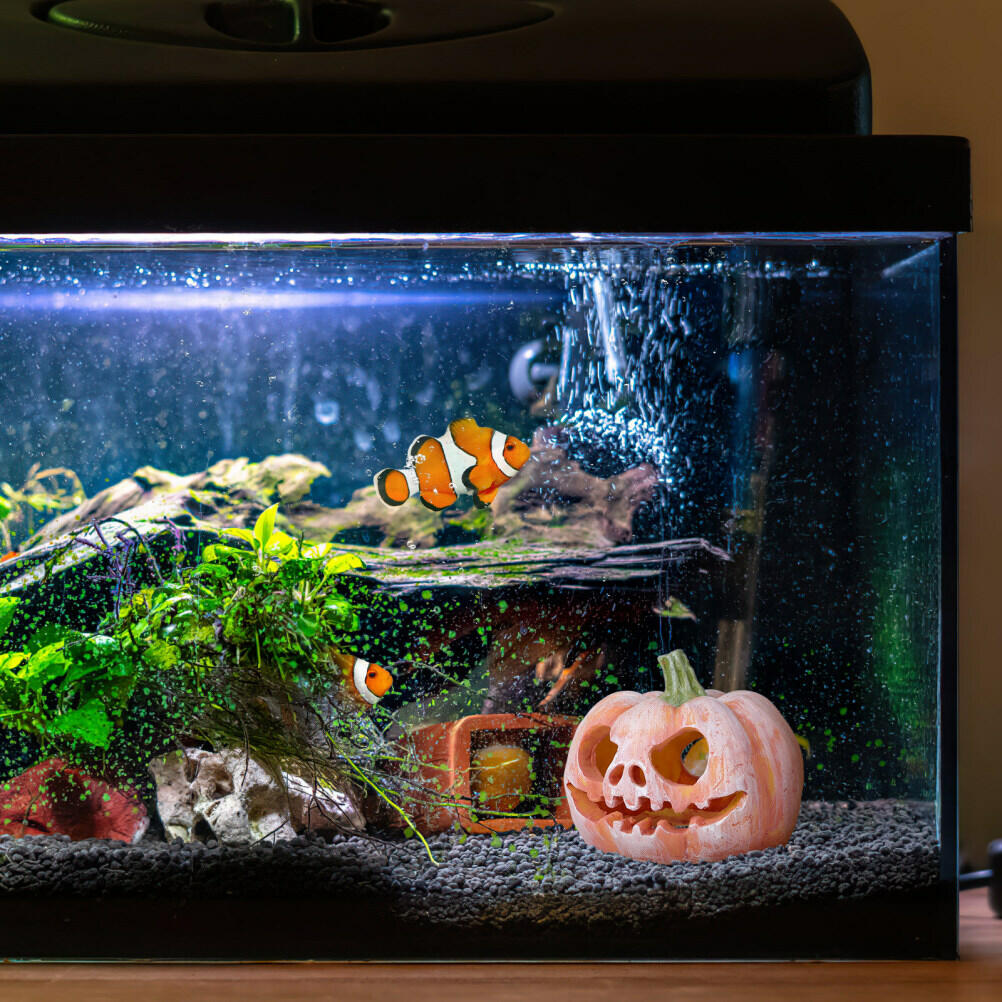 Pumpkin Shaped Fish Hideout House Tank Decor Aquarium Fish Tank Decoration