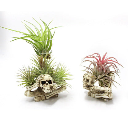 Skeleton air pineapple bracket ornament resin home courtyard ghost head
