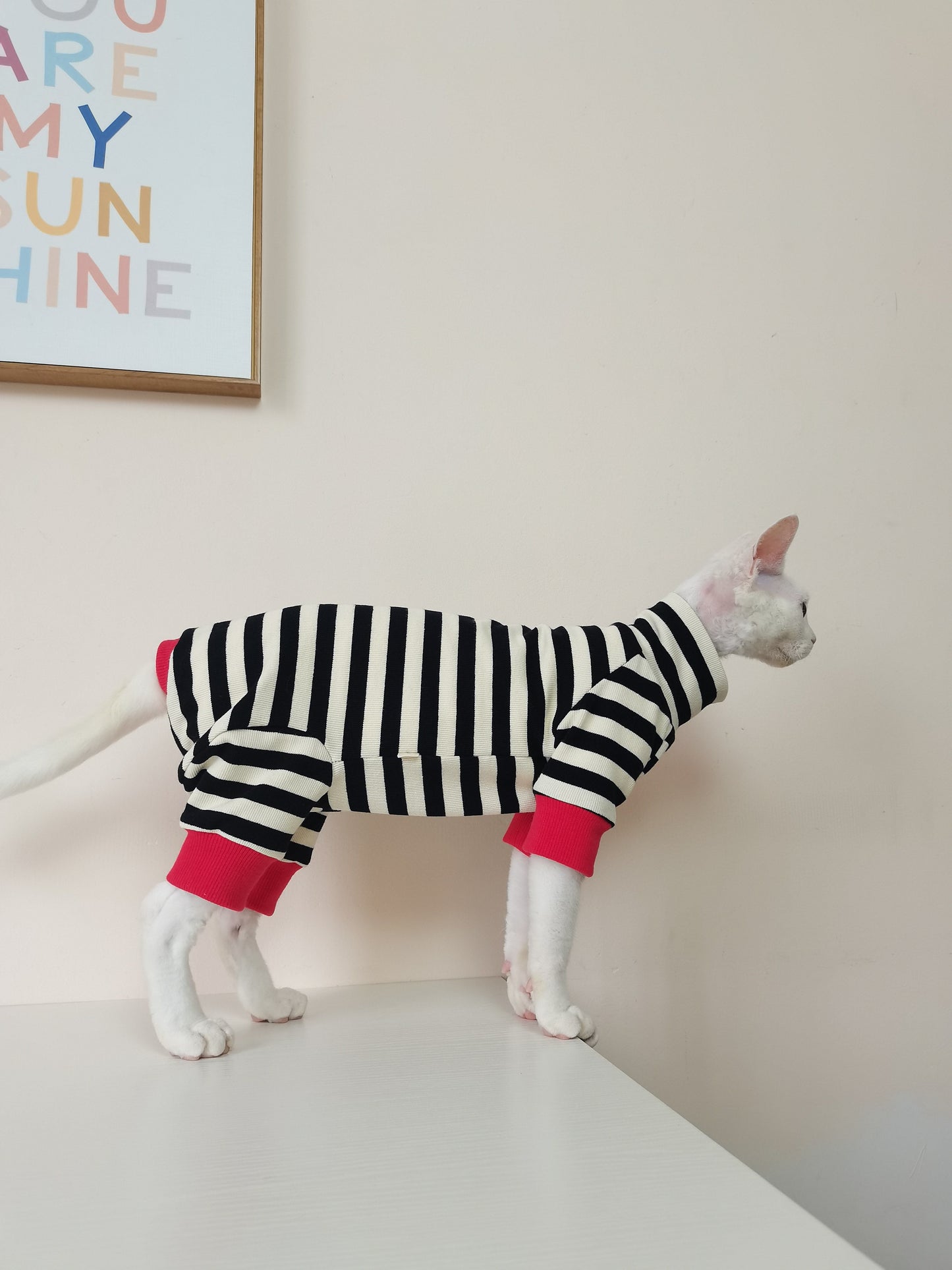 Belly-protecting Four-legged High-elasticity Fur-free Cat Clothing