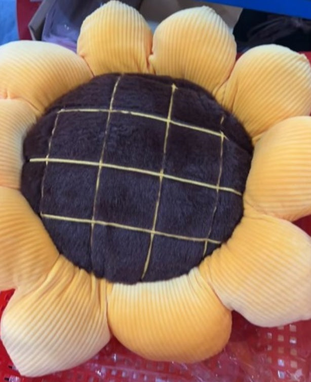 Daisy Petal Cushion