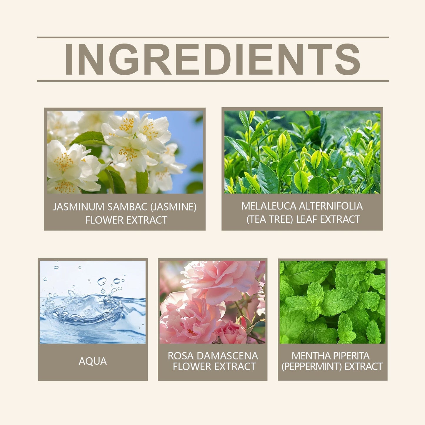 Charm Perfume Spray, Keep Fragrance Fresh And Elegant Wrist, Neck And Behind The Ears Charm Perfume Spray