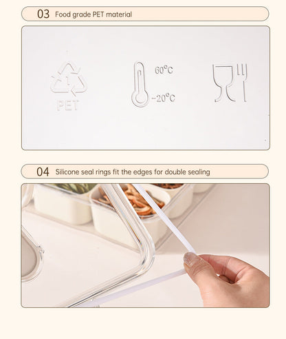 Design Sealed Snackle Storage Box With 9pcs Divider Plastic Divided Veggie Tray With Lid And Handle