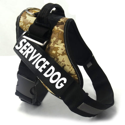 Chest strap