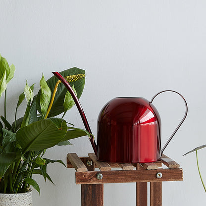 Stainless Steel Plant Watering Can
