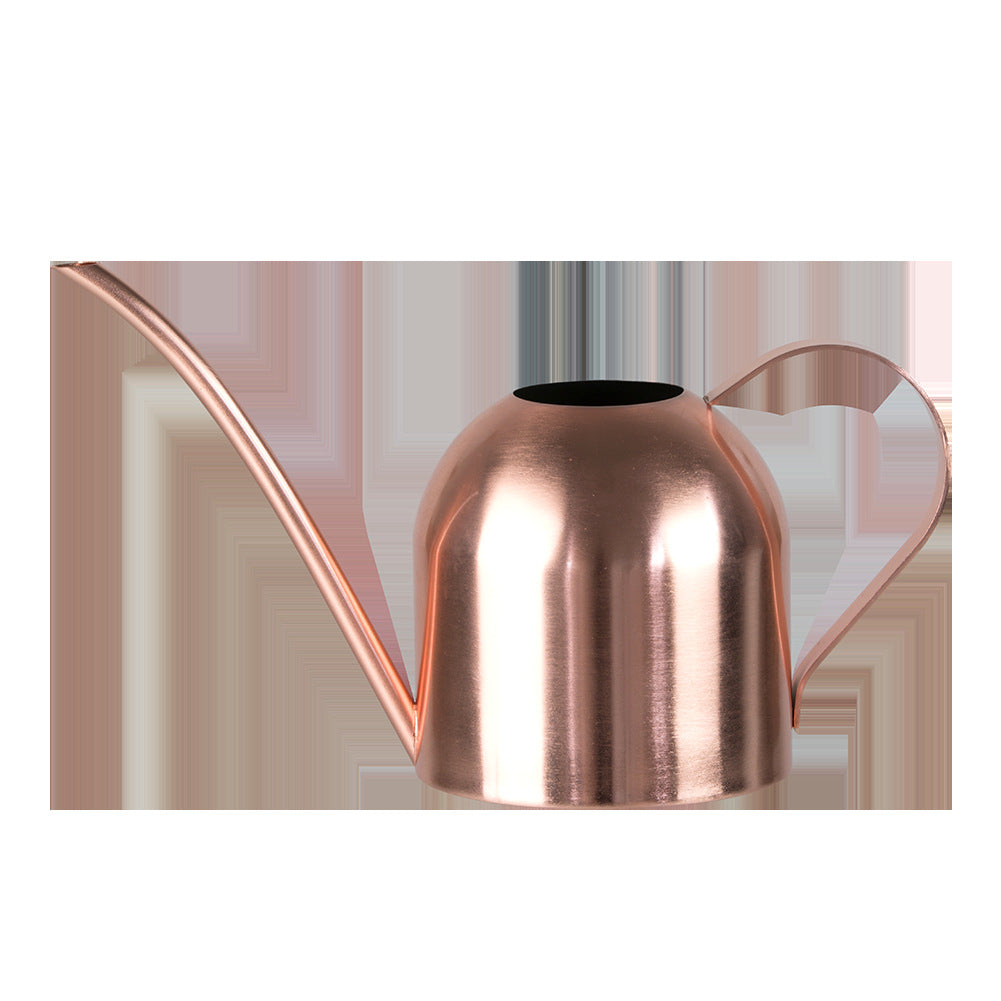 Stainless Steel Plant Watering Can