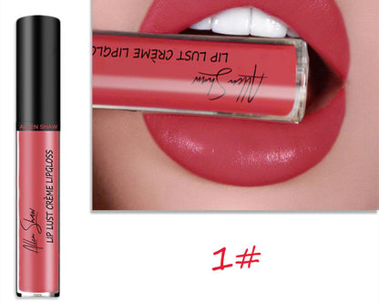 Silky Cream Lip Gloss Aliexpress Shopee Exclusive