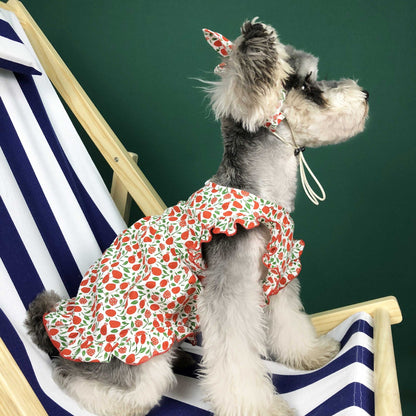 Dog Clothes Summer Thin Small Dog Dress Pet Clothes