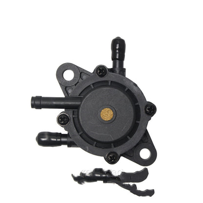 Blackstone Fuel Pump 491922–808281