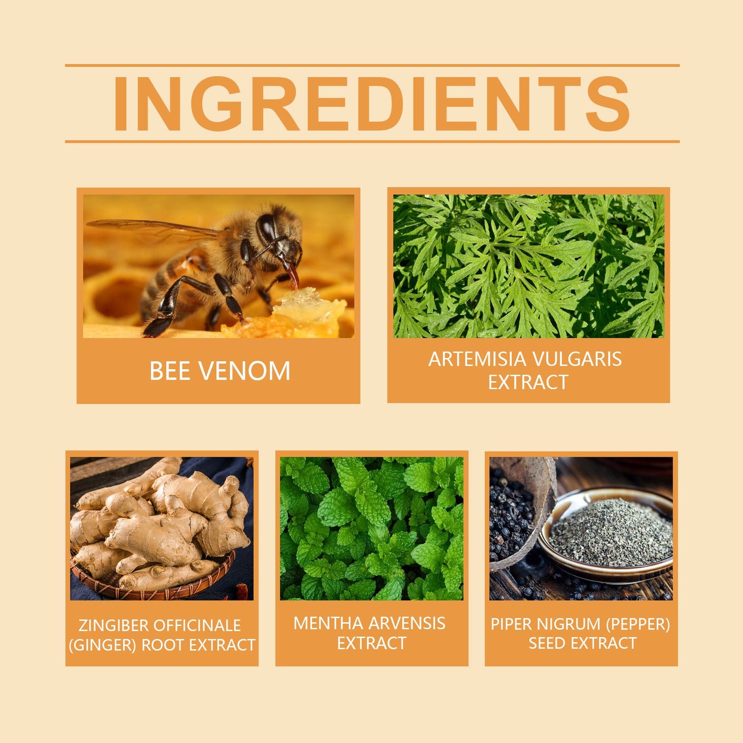 Bee Venom Beauty Considerate Body Shaping Body For Lazy Body Firming Body Skin Thighs Bye Meat