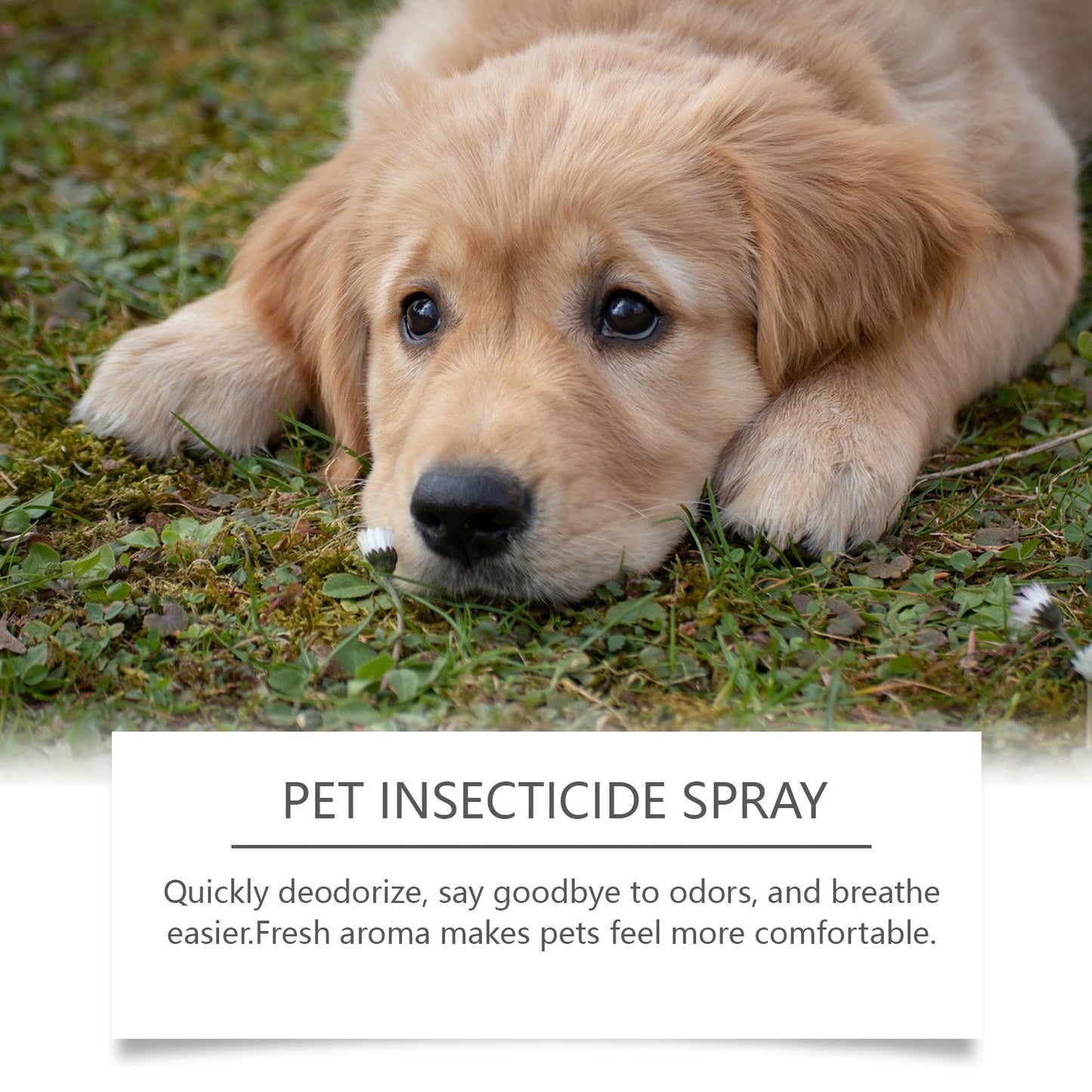 Pet Deodorant Spray, Cat And Dog Flea Liquid Deodorant Body Deodorant Spray