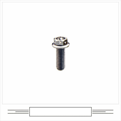 EFsolid Titanium Alloy Motorcycle Flange Screw