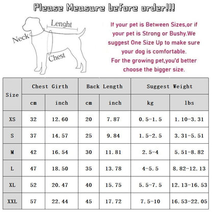 Autumn And Winter Korean Version New Dog Cute Cartoon Little Bear Sportswear Cat Teddy Pet Clothing