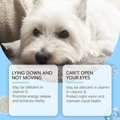 Yegbong For Dogs Multivitamin Tablet For Cats Dog Pet