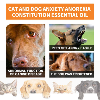Cat And Dog Care Essence, Pet Cat And Dog Enhance Health Eat Care Sesame Seed Oil Essence