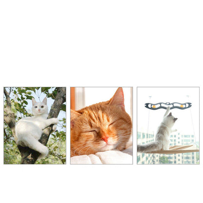 Cat Hammock Suction Cup Wall Mounted Window Hammock
