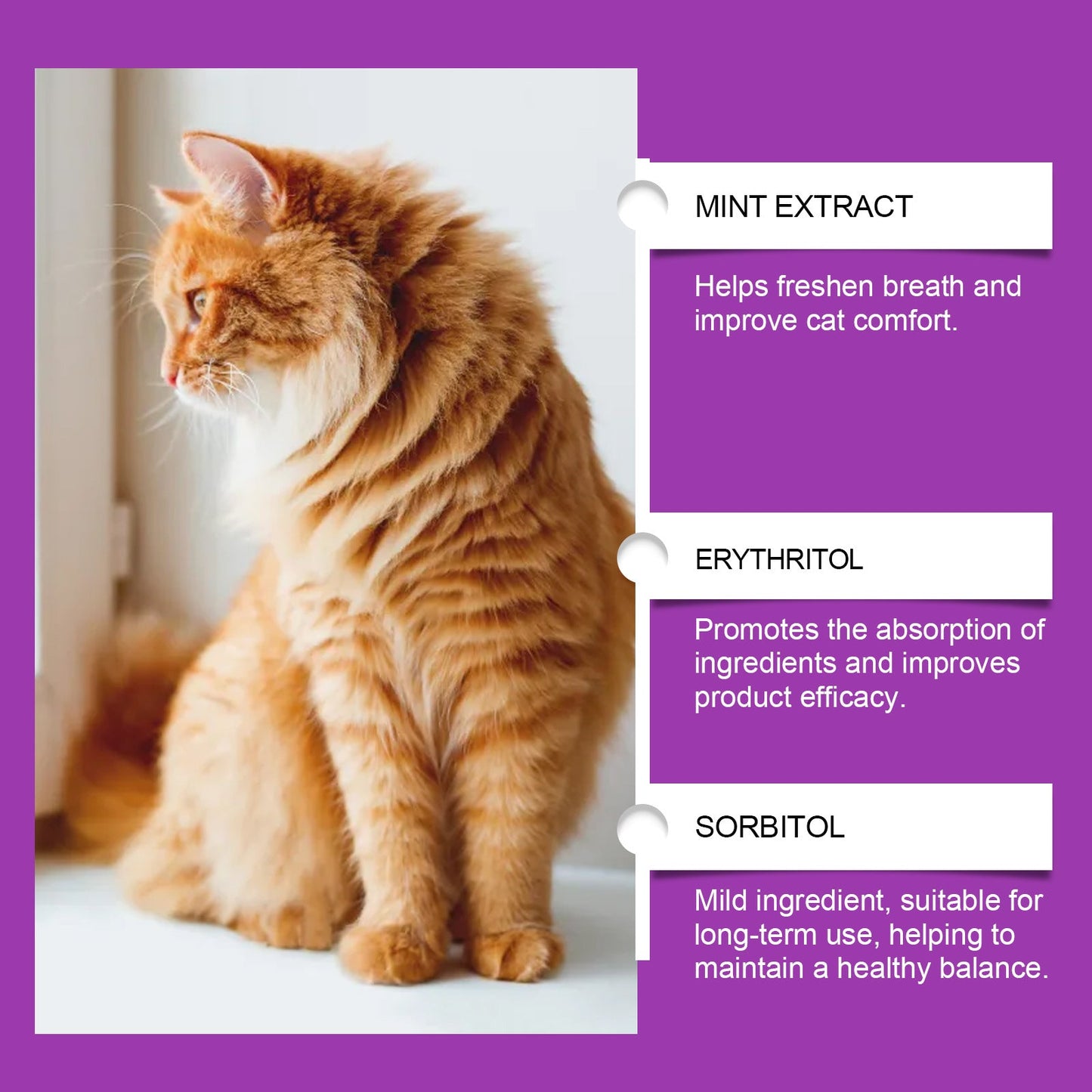 Pet Cat Daily Care Vitamin Supplement