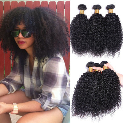 Brazilian Kinky Curly Human Hair Wigs Wholesale