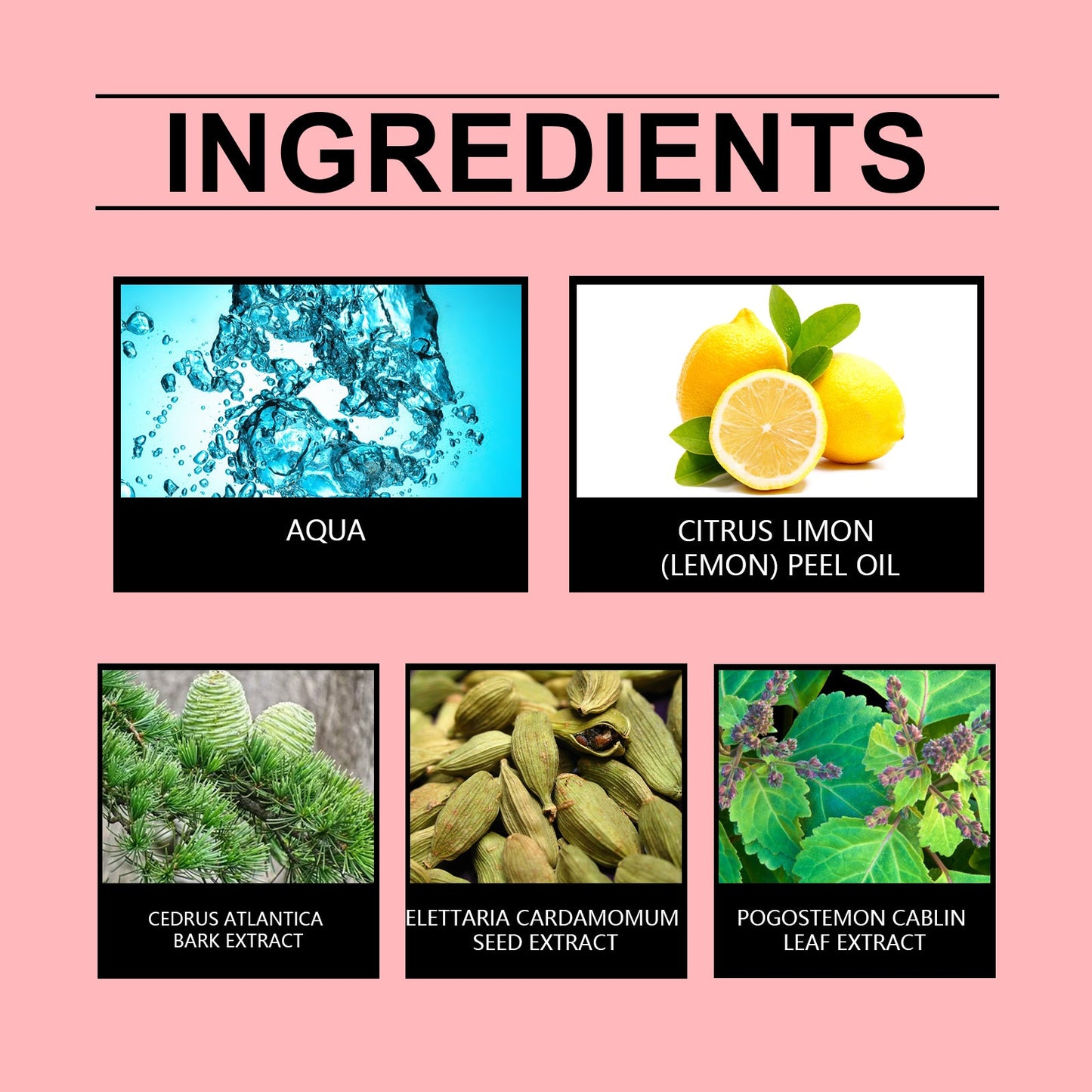Rich Cardamom Lemon Charming Perfume Rich Charming Perfume Cardamom Lemon Fresh Unique Charm Rich Fragrance