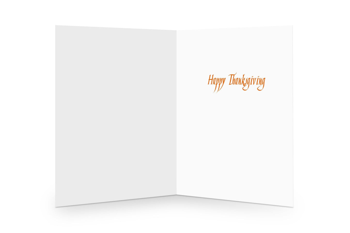 Stonehouse Collection 2-Pack Funny Thanksgiving Greeting Cards Turkey Assorted
