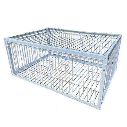 Pigeon Active Network Door Encrypted Return Cage