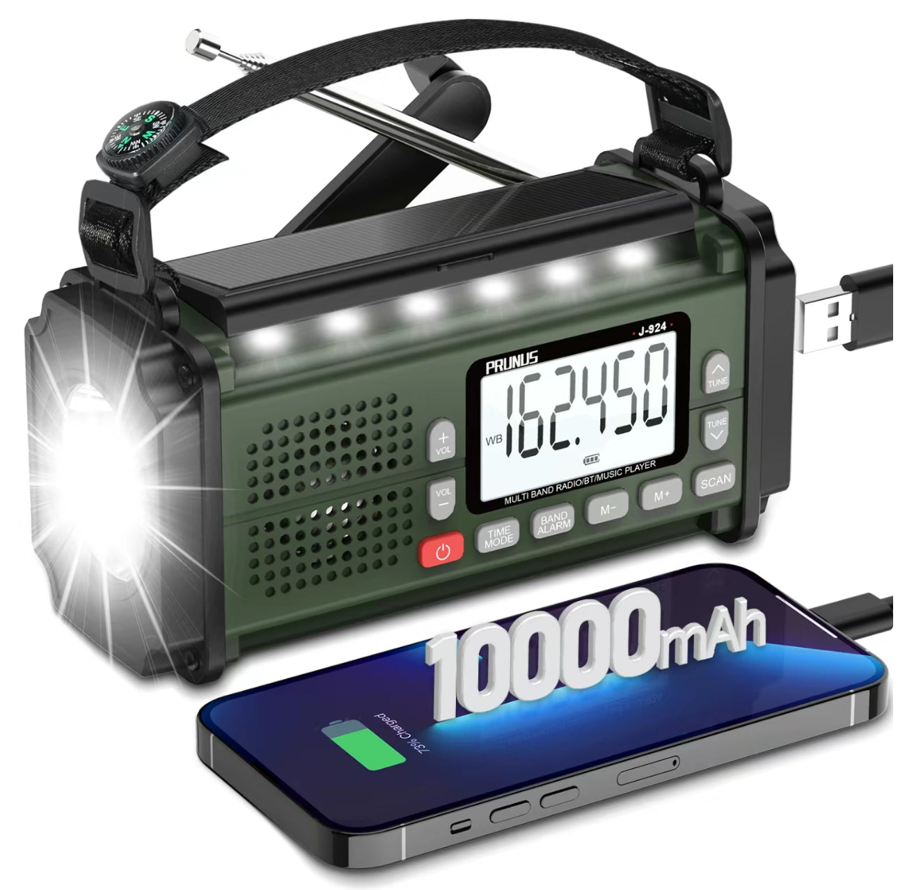 StormGuard Pro Radio