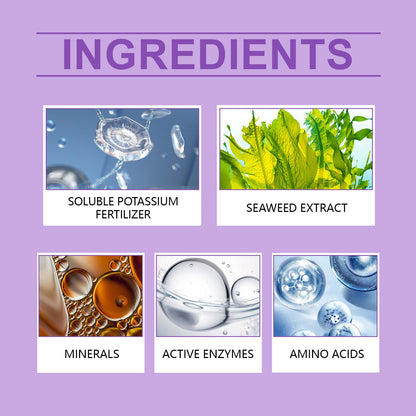 Orchid Plant Growth Agent Flower Green Plant Special Nutrient Solution For Orchid Pot Common