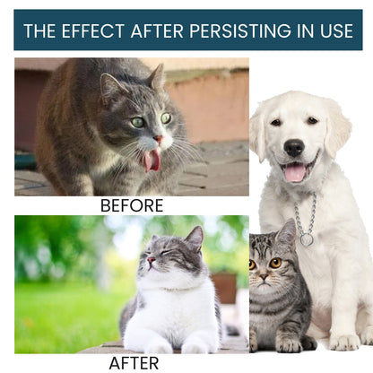 Pet Immune Oral Drops, Special Nutritional And Immune Health Drops For Cats And Dogs