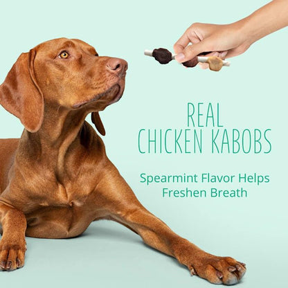 BestBy12/25 Better Belly Dental Kabobs Dog Chews Spearmint 10 Count