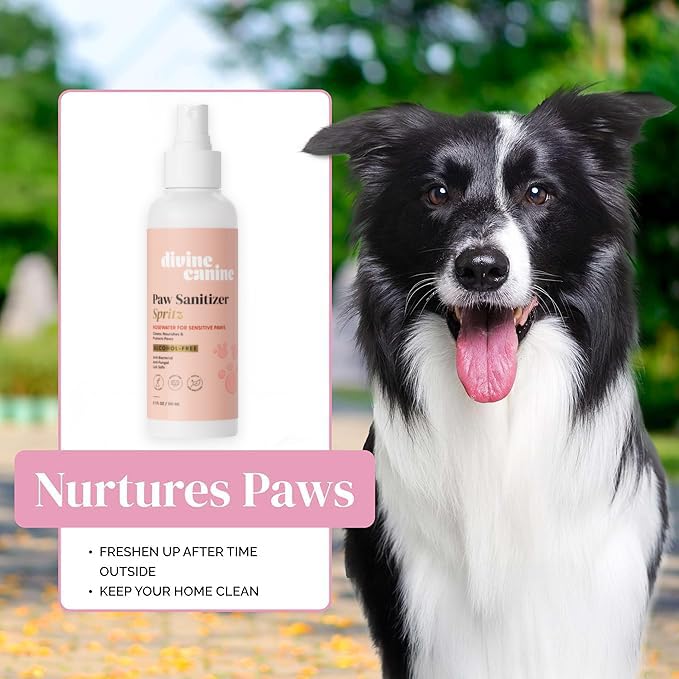 Dog Paw Cleaner Spray 5.1oz Alcohol Free Rosewater Aloe Copaiba Lemongrass USA