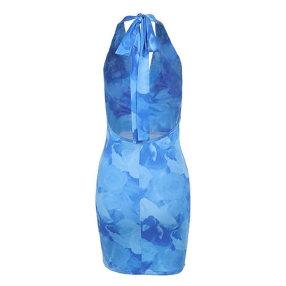 Knemksplanet Women Halterneck Mesh Mini Dress Floral Print Blue Size L