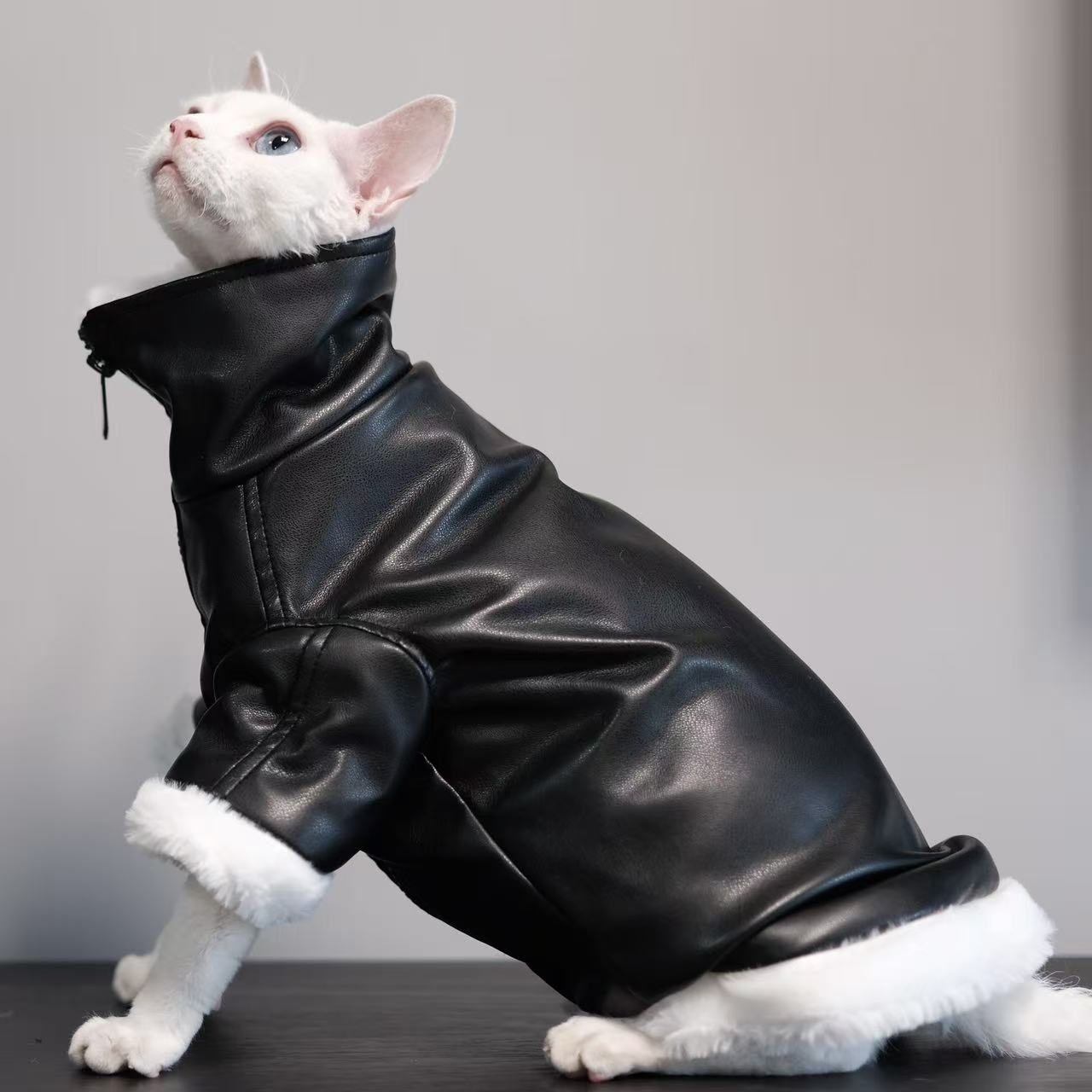 Thickened Coat Furless Cat Apparel Sphynx Cat Outfit Autumnwinter Style