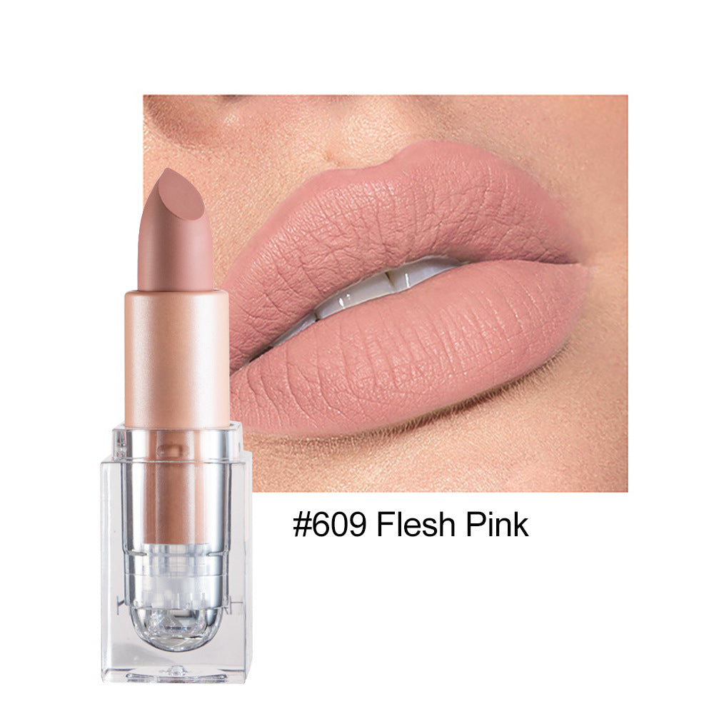 HANDAIYAN Matte Lipstick 12 Color Lipstick Not Easy To Fade Nude Pink Lipstick