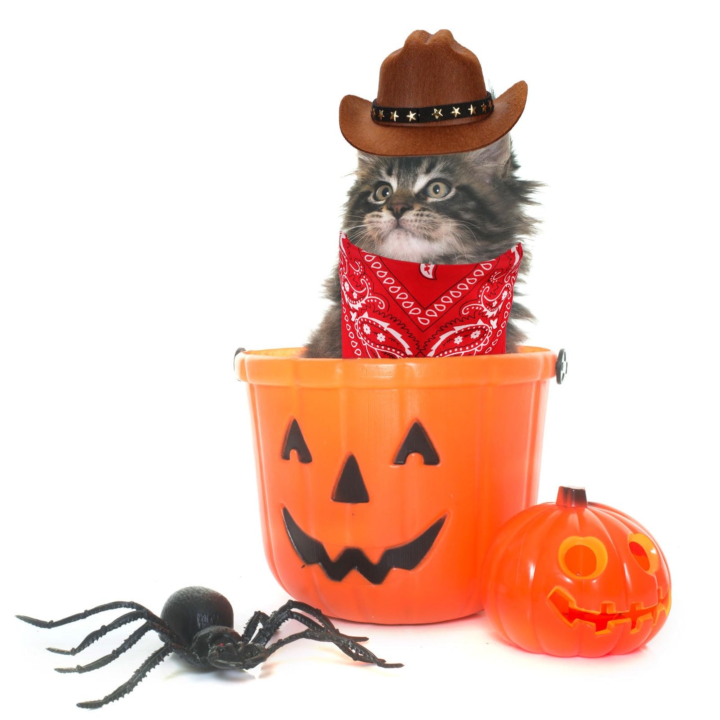 PEUTIER Pet Cowboy Costume Dog Hat & Bandana Brown Red Small