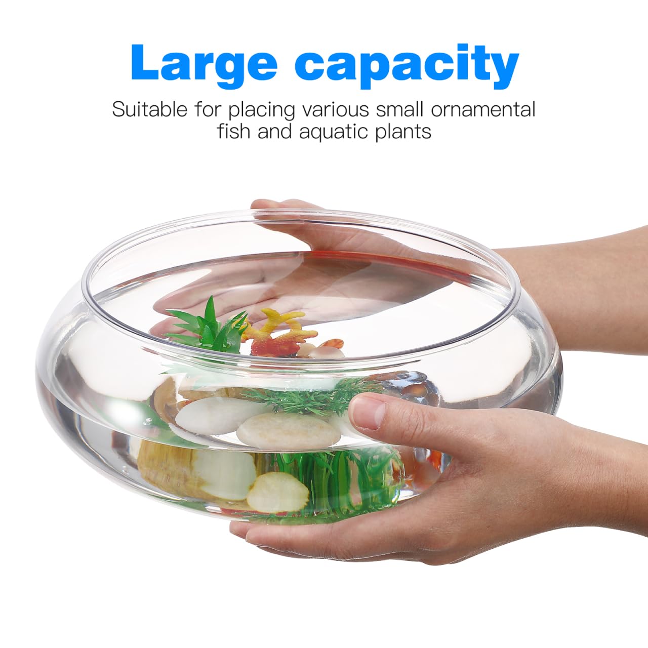 BESPORTBLE Transparent Desktop Aquarium Tank 9.52x9.52x3.93in 2800ml Plastic