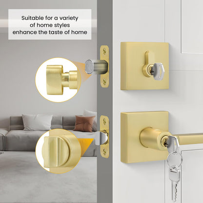 Goldenwarm Gold Dummy Door Handles Brushed Brass Levers 3 Pack