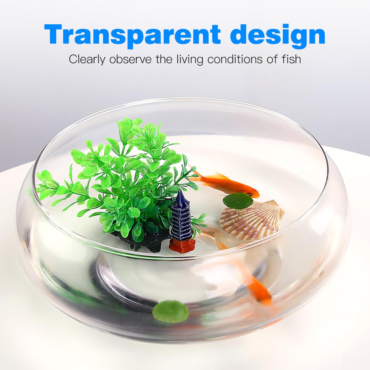 BESPORTBLE Transparent Desktop Aquarium Tank 9.52x9.52x3.93in 2800ml Plastic