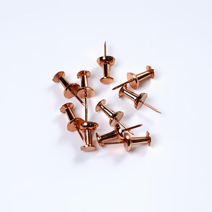 Bomeirc Rose Gold Push Pins 100pcs Double Headed Decorative Tacks with Box
