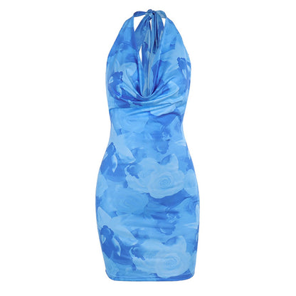 Knemksplanet Women Halterneck Mesh Mini Dress Floral Print Blue Size L