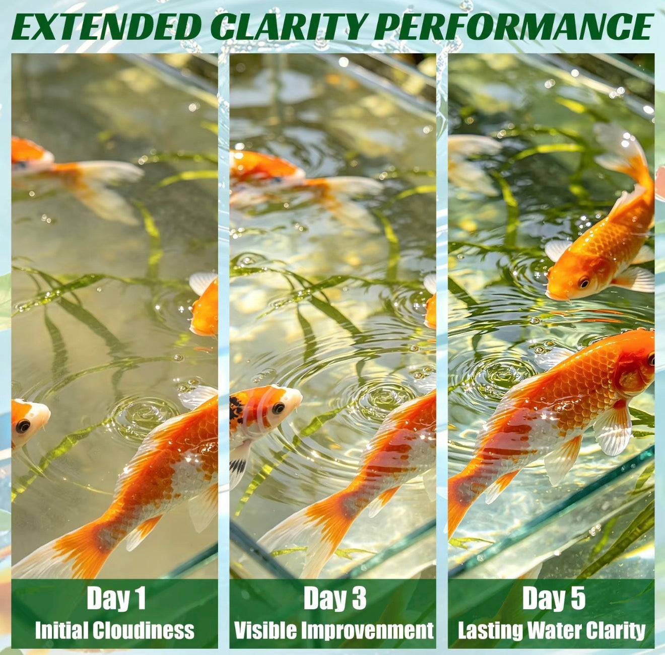 AquaClear Purification Tablets