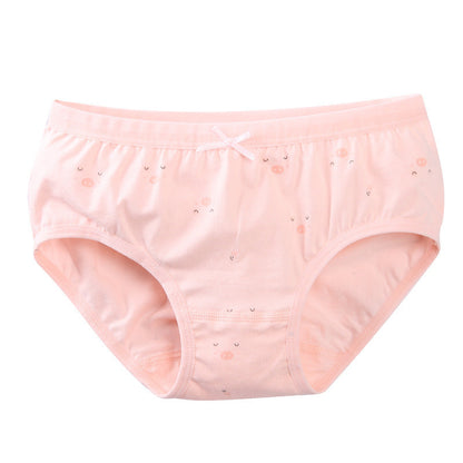 Children's Underwear Women's Triangle Cotton Boxer