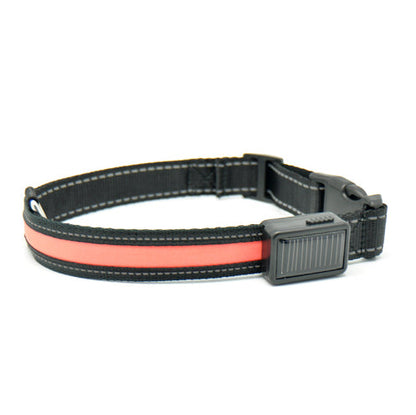 Fluorescent dog collar