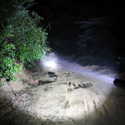 Flashlight with defensive baseball bat