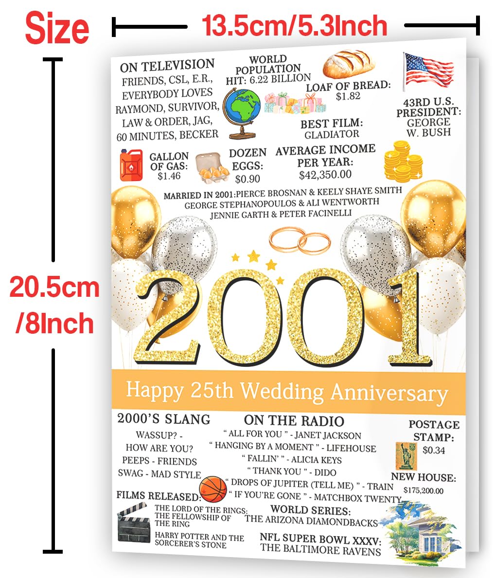 Hongshan 25th Wedding Anniversary Card for Couple Vintage hs-235