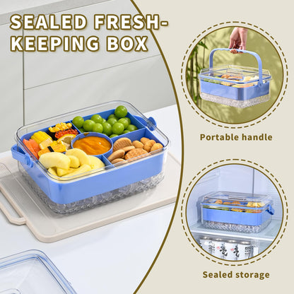 Hegrish Fruit Ice Serving Tray Clear Light Blue 4 Compartments with Lid