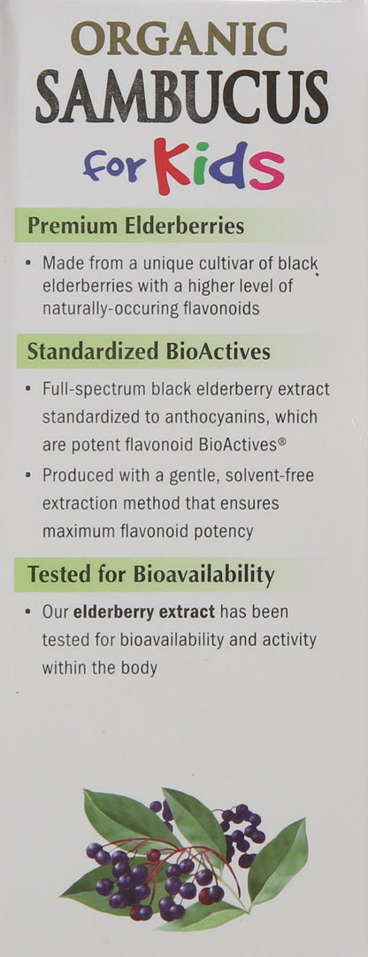 BestBy02/26 Nature's Way Organic Sambucus Kids Syrup Elderberry 4 fl oz