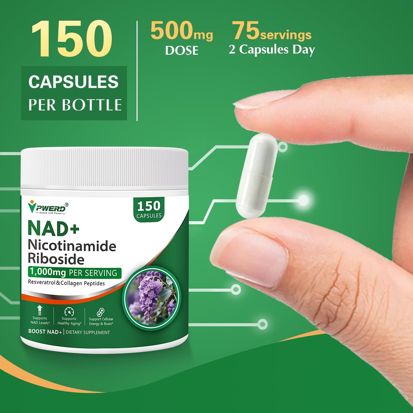 BestBy02/27 PWERD NAD+ Trans Resveratrol 1000mg 150 Capsules Supplement