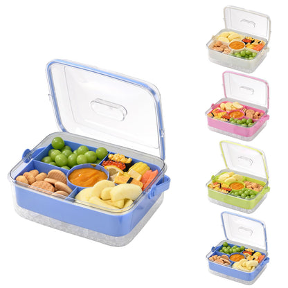 Hegrish Fruit Ice Serving Tray Clear Light Blue 4 Compartments with Lid