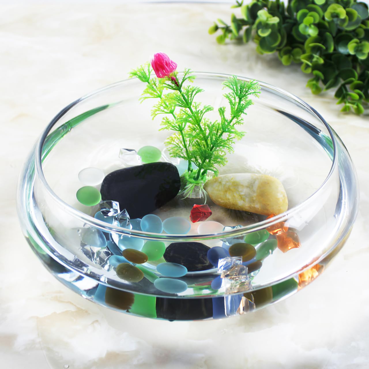 BESPORTBLE Transparent Desktop Aquarium Tank 9.52x9.52x3.93in 2800ml Plastic
